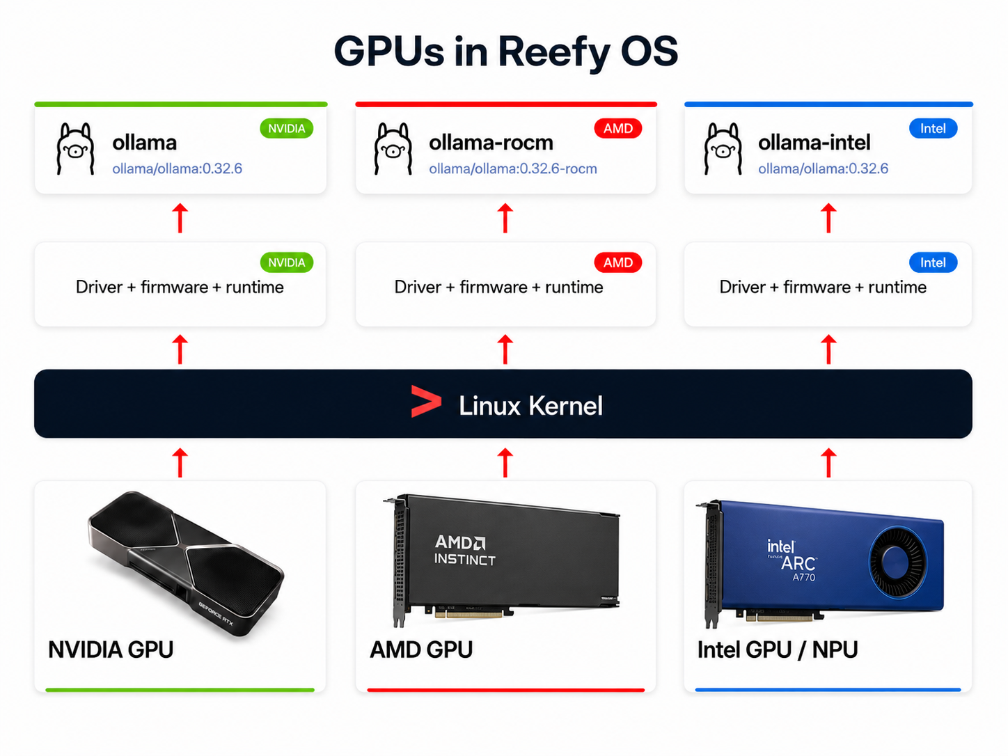 NVIDIA, AMD, and Intel accelerator architecture in Reefy OS